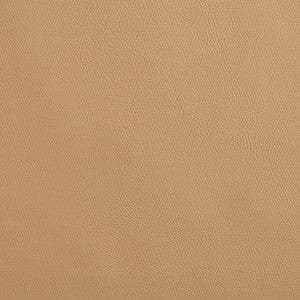 8079 Sandalwood by Charlotte Designer Fabric