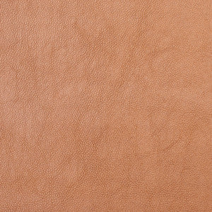 8081 Copper by Charlotte Designer Fabric
