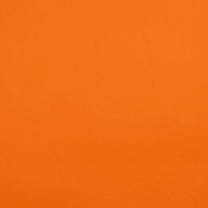 8087 Papaya by Charlotte Designer Fabric