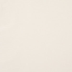 Legere Ground Ivory 80910 by Schumacher Designer Fabric