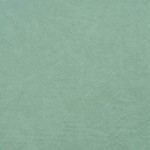 8100 Mint by Charlotte Designer Fabric