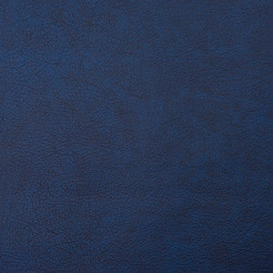 8101 Navy by Charlotte Designer Fabric