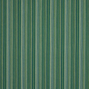 Fino Stripe Indoor/Outdoor Green 81071 by Schumacher Designer Fabric