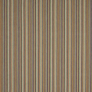 Fino Stripe Indoor/Outdoor Multi 81072 by Schumacher Designer Fabric