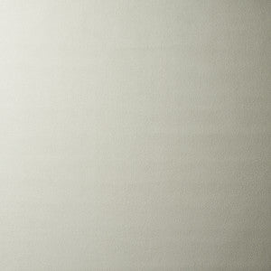 Vegan Suede Oyster 81135 by Schumacher Designer Fabric