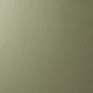 Vegan Suede Sage 81138 by Schumacher Designer Fabric