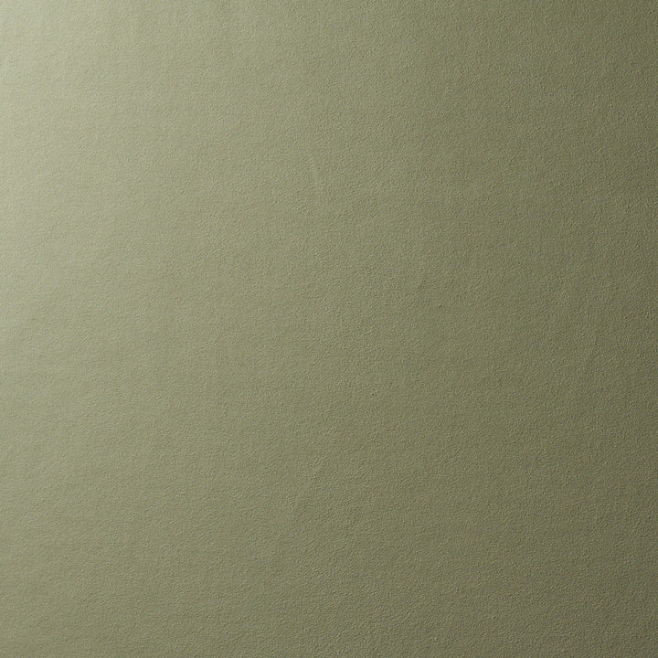 Vegan Suede Sage 81138 by Schumacher Fabric Schumacher Fabric Vegan Suede Sage 81138Fabric POLYESTER 92% </p><p>Repeat: H: HORZ. 54" (137CM), V: VERT. 144" (366CM) 54 - Fabric Carolina -