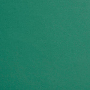 8209 Seamist by Charlotte Designer Fabric