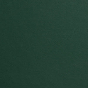 8218 Spruce by Charlotte Designer Fabric