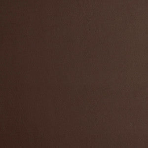 8224 Chocolate by Charlotte Designer Fabric