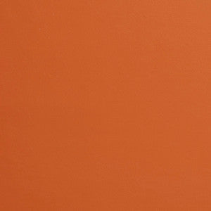 8225 Terra Cotta by Charlotte Designer Fabric