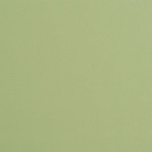 8226 Mint by Charlotte Designer Fabric