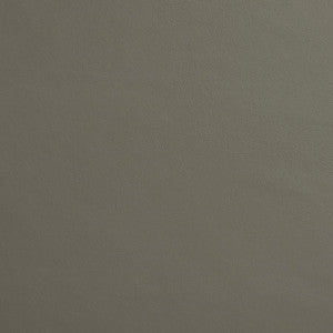 8229 Metal by Charlotte Designer Fabric