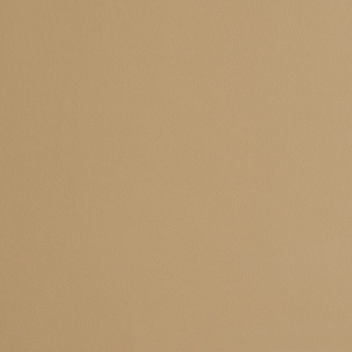 8231 Sand by Charlotte Designer Fabric UltraHyde II Face: Vinyl/Polyurethane, Back: Polyester Microsuede, 29oz. Asia Exceeds 200,000 Wyzenbeek Rubs (Heavy Duty) No Repeat 54 Inches - Swanky Fabrics -