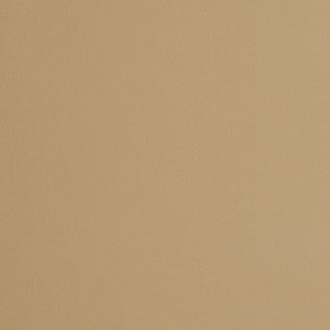 8231 Sand by Charlotte Designer Fabric