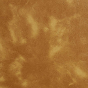 8244 Honey by Charlotte Designer Fabric