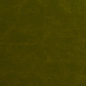 8252 Moss by Charlotte Designer Fabric