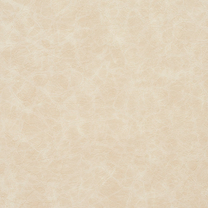 8288 Oyster by Charlotte Designer Fabric Breathables III 70% Polyester, 23% Polyurethane, 7% Leather, 26oz. Asia Exceeds 200,000 Wyzenbeek Rubs (Heavy Duty) No Repeat 54 Inches - Swanky Fabrics -