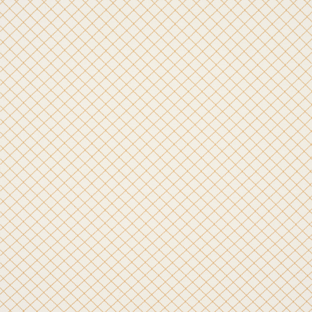 Maggie Lattice Neutral 83763 by Schumacher Designer Fabric