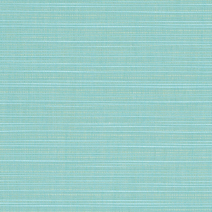 8067 77 Rain Dupione Celeste by Sunbrella Designer Fabric Sunbrella Rain 100% SunbrellaÂ® Acrylic USA or Imported 5-Year Horizontal: and Vertical: 60 yd. 54 in. - Swanky Fabrics -