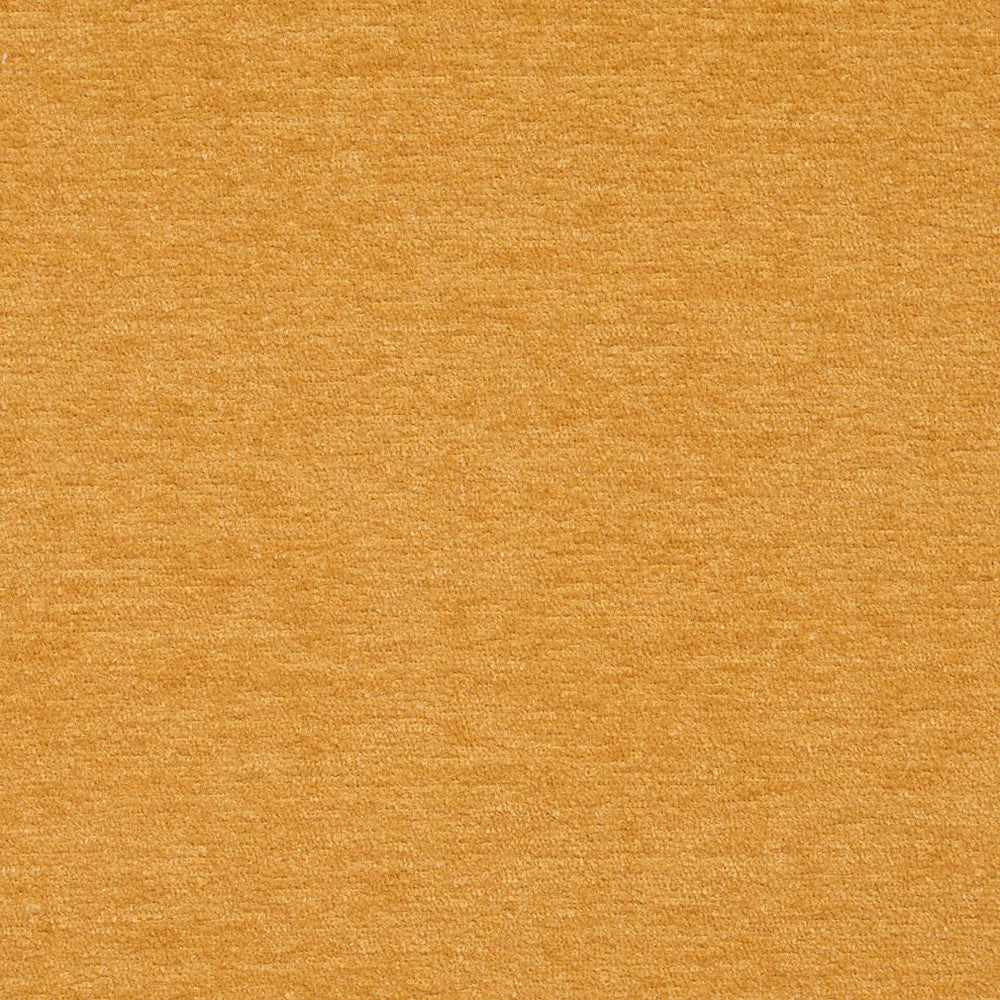 8419 Cornsilk by Charlotte Designer Fabric Crypton Home 100% Woven Polyester Asia Exceeds 100,000 Wyzenbeek Rubs (Heavy Duty) No Repeat 54 Inches - Swanky Fabrics -