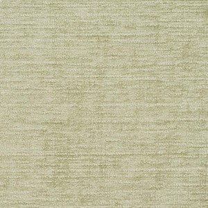 8454 Spearmint by Charlotte Designer Fabric