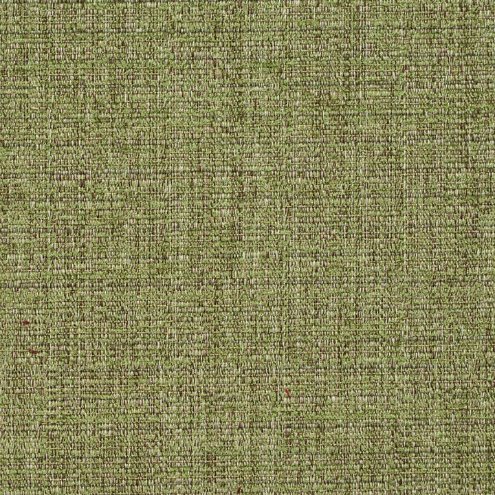 8461 Meadow by Charlotte Designer Fabric Crypton Home 100% Woven Polyester Asia Exceeds 100,000 Wyzenbeek Rubs (Heavy Duty) No Repeat 54 Inches - Swanky Fabrics -
