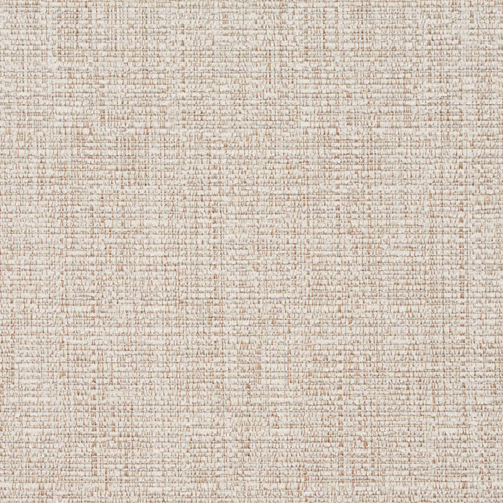 8464 Alabaster by Charlotte Designer Fabric Crypton Home 100% Woven Polyester Asia Exceeds 100,000 Wyzenbeek Rubs (Heavy Duty) No Repeat 54 Inches - Swanky Fabrics -