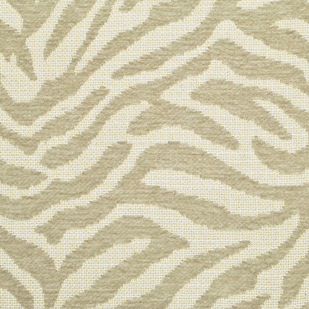 Fuzzy Sesame 43 by P Kaufmann Fabrics Designer Fabric