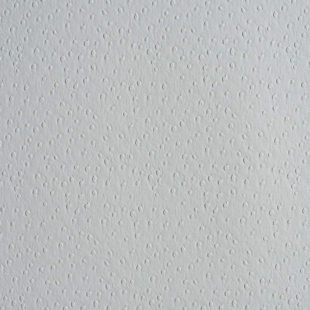 Ostrich Vegan Leather Fog 87282 by Schumacher Designer Fabric