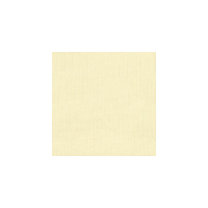 8790-1001 by Kravet Basics Designer Fabric POLYESTER - 100% Turkey LIGHT Horizontal: 0 and Vertical: 0 118 - Swanky Fabrics -