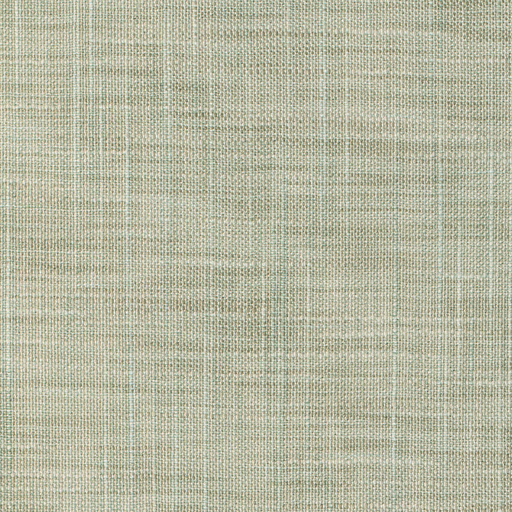 8813-35 by Kravet Basics Designer Fabric POLYESTER - 100% India LIGHT Horizontal: 0 and Vertical: 0 54 - Swanky Fabrics -