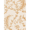 Ludlow Peach by Cole & Son Designer Wallcovering