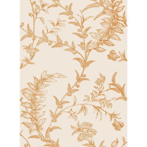 Ludlow Peach by Cole & Son Designer Wallcovering