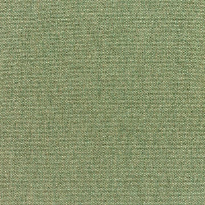 5487 Canvas Fern by Sunbrella Designer Fabric Sunbrella Elements - Canvas Sunbrella® Acrylic, Sunbrella® Polyester, Sunbrella® Non-Phthalate PVC USA or Imported 5-Year Horizontal: and Vertical: 60 yd. 54 in. - Swanky Fabrics -