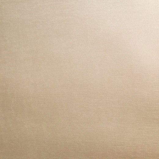 Pioneer - 08 by Europatex Designer Fabric Pioneer 55% PVC, 40% Polyester, 5% Polyurethane China See Sample Horizontal: N/A and Vertical: N/A 55.00 inches  - Swanky Fabrics -