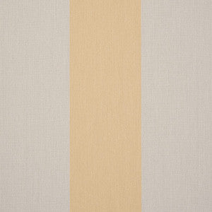 D300 Wide Chiné Yellow by Sunbrella Designer Fabric