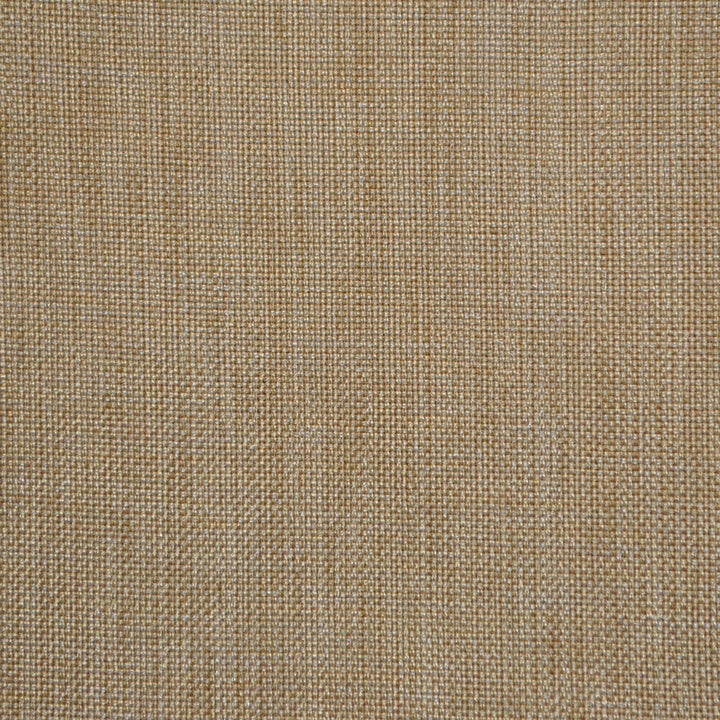 Groupie Alabaster Rb20 11 by P Kaufmann Fabrics Designer Fabric