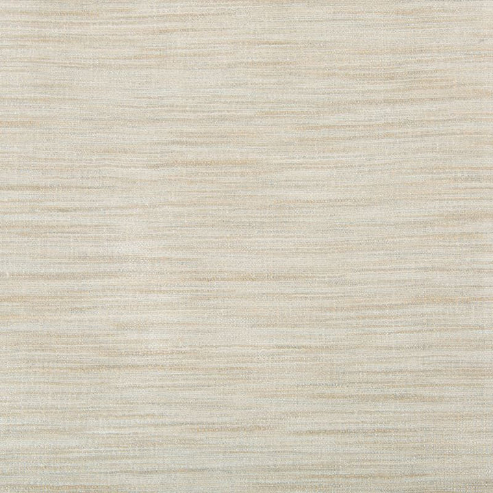 9413.113 by Kravet Basics Designer Fabric our website for purchase Polyester 75%, Viscose 25% India Light Horizontal: see sample and Vertical: see sample 54 inches - Swanky Fabrics -