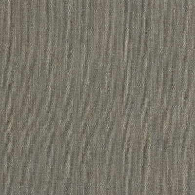 Striking Gold Platinum by Kravet Couture Fabric Kravet Couture Fabric Striking Gold PlatinumFabric LINEN - 55%;VISCOSE - 35%;POLYESTER - 10% Spain </p><p>Repeat: H: , V: 118 - Fabric Carolina -