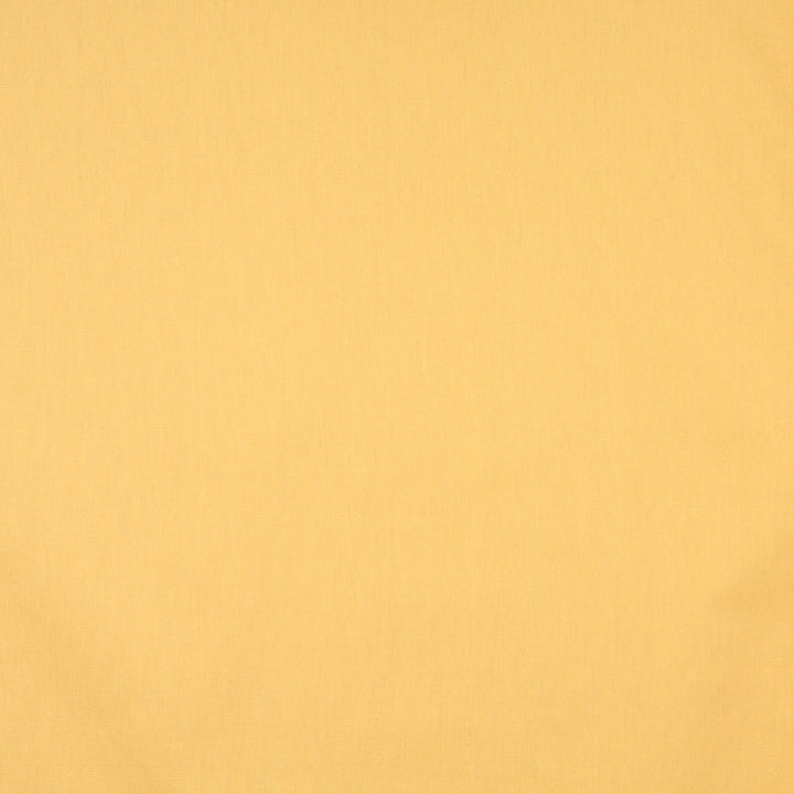 9452 Marigold by Charlotte Designer Fabric Definitely Durable Duck 100% Cotton, 12oz. Preshrunk Cotton Duck Made In USA Exceeds 60,000 Wyzenbeek Rubs (Heavy Duty) No Repeat 54 Inches - Swanky Fabrics -