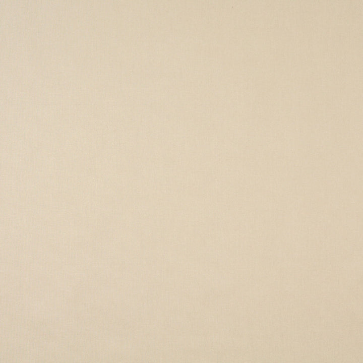 9458 Linen by Charlotte Designer Fabric Cotton Duck, Definitely Durable Duck 100% Cotton, 12oz. Preshrunk Cotton Duck Made In USA Exceeds 60,000 Wyzenbeek Rubs (Heavy Duty) No Repeat 54 Inches - Swanky Fabrics -