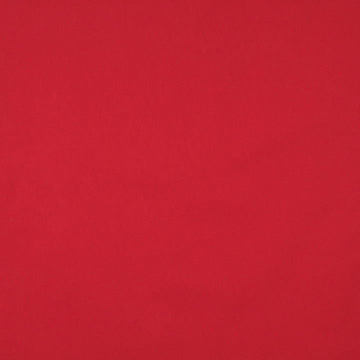 9467 Cardinal by Charlotte Designer Fabric Cotton Duck, Definitely Durable Duck & Forever Classics 100% Cotton, 12oz. Preshrunk Cotton Duck Made In USA Exceeds 60,000 Wyzenbeek Rubs (Heavy Duty) No Repeat 54 Inches - Swanky Fabrics -