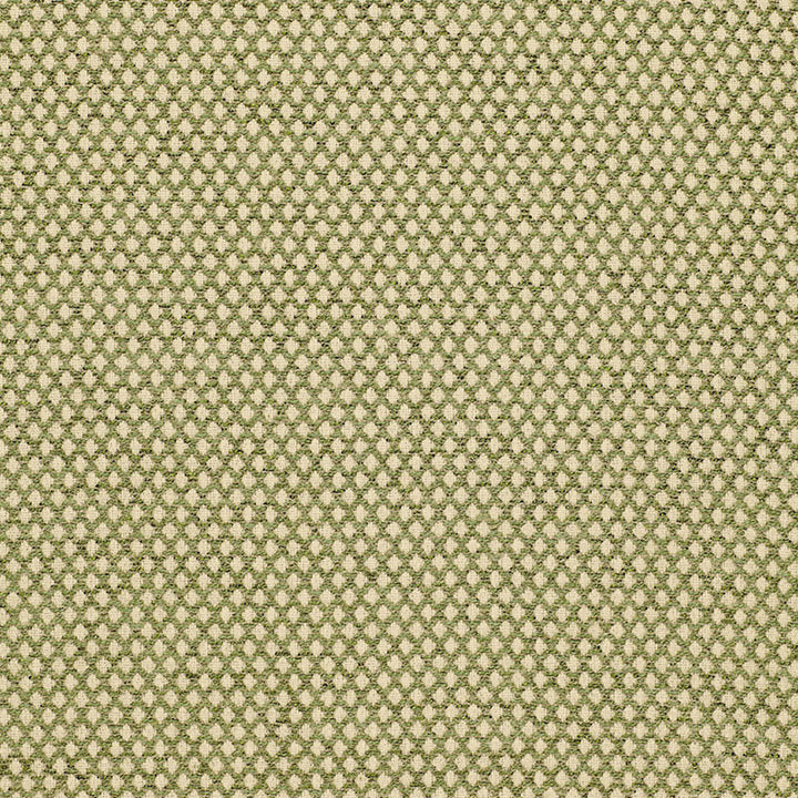Losange Boucle' Leaf 94854 by Schumacher Designer Fabric CHROMA F04 COTTON 69% RAYON 31% UNITED STATES OF AMERICA WYZENBEEK 15,000 </p><p>Repeat: Horizontal: 1/2" (1CM) and Vertical: 1/2" (1CM) 54 - Swanky Fabrics -