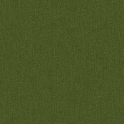 Spectrum Velvet Olive by Lee Jofa Fabric Lee Jofa Fabric Spectrum Velvet OliveFabric COTTON - 100% Netherlands </p><p>Repeat: H: 0, V: 0 54 - Fabric Carolina -