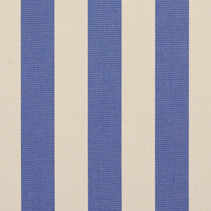 9546 Denim Stripe by Charlotte Designer Fabric