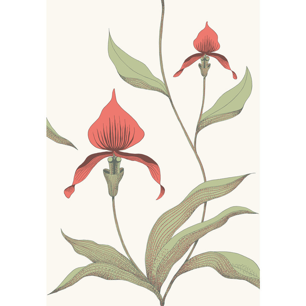 Orchid Red/White by Cole & Son Designer Wallcovering CONTEMPORARY RESTYLED PAPER - 100% United Kingdom - Horizontal: 21 and Vertical: 30 21 - Swanky Fabrics -