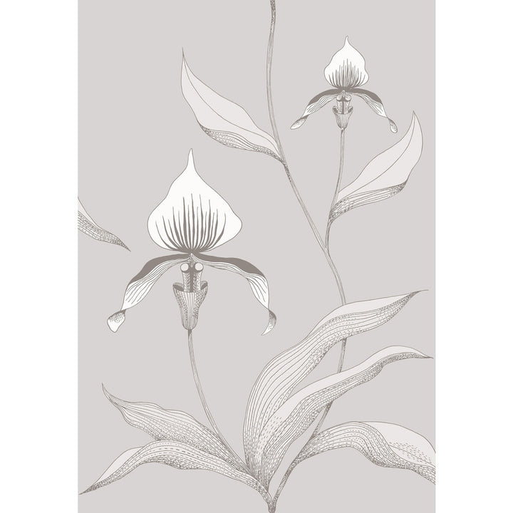 Orchid Grey/White by Cole & Son Designer Wallcovering CONTEMPORARY RESTYLED PAPER - 100% United Kingdom Horizontal: 21 and Vertical: 30 21 - Swanky Fabrics -