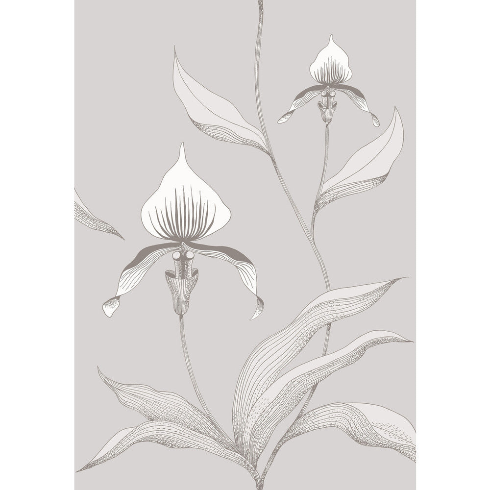Orchid Grey/White by Cole & Son Designer Wallcovering CONTEMPORARY RESTYLED PAPER - 100% United Kingdom - Horizontal: 21 and Vertical: 30 21 - Swanky Fabrics -