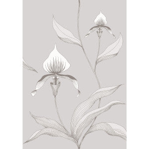 Orchid Grey/White by Cole & Son Designer Wallcovering
